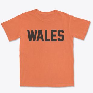 Wales Utah Classic Block Premium Heavyweight T-shirt