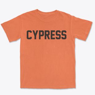 Cypress Illinois Classic Block Premium Heavyweight T-shirt