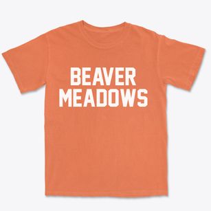 Beaver Meadows Pennsylvania Classic Block Premium Heavyweight T-shirt