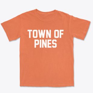 Town Of Pines Indiana Classic Block Premium Heavyweight T-shirt