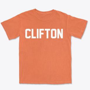 Clifton Idaho Classic Block Premium Heavyweight T-shirt