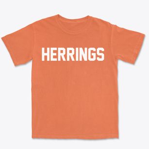 Herrings New York Classic Block Premium Heavyweight T-shirt