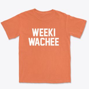 Weeki Wachee Florida Classic Block Premium Heavyweight T-shirt