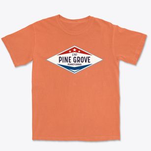 Pine Grove Pennsylvania Diamond Star Premium Heavyweight T-shirt