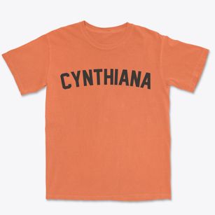 Cynthiana Ohio Classic Curve Premium Heavyweight T-shirt