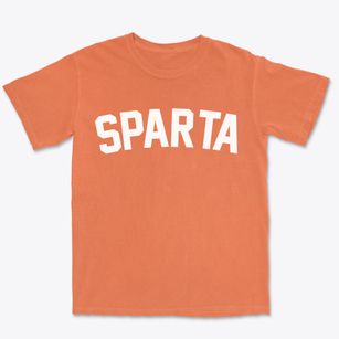 Sparta Michigan Classic Curve Premium Heavyweight T-shirt