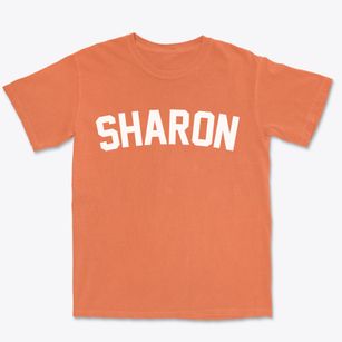 Sharon Wisconsin Classic Curve Premium Heavyweight T-shirt