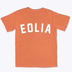 Eolia Missouri Classic Curve Premium Heavyweight T-shirt