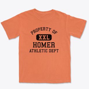 Homer New York Athletic Dept Premium Heavyweight T-shirt