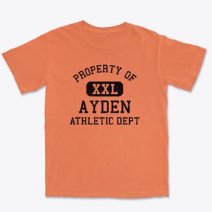 Ayden North Carolina Athletic Dept Premium Heavyweight T-shirt