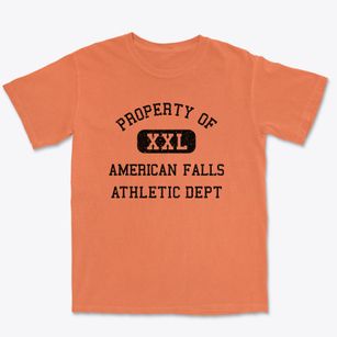 American Falls Idaho Athletic Dept Premium Heavyweight T-shirt