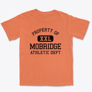 Mobridge South Dakota Athletic Dept Premium Heavyweight T-shirt