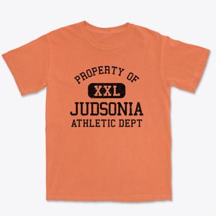 Judsonia Arkansas Athletic Dept Premium Heavyweight T-shirt