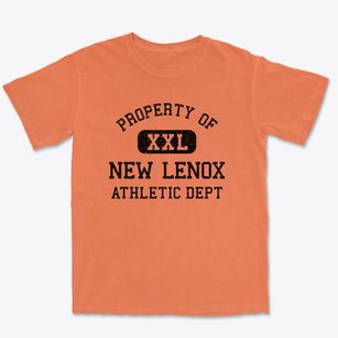 New Lenox Illinois Athletic Dept Premium Heavyweight T-shirt