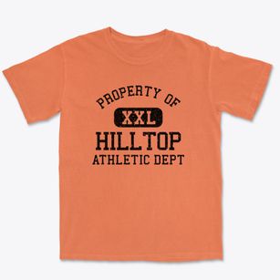 Hilltop Ohio Athletic Dept Premium Heavyweight T-shirt