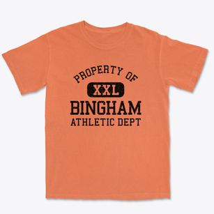 Bingham Illinois Athletic Dept Premium Heavyweight T-shirt