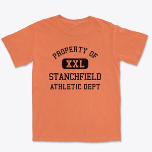 Stanchfield Minnesota Athletic Dept Premium Heavyweight T-shirt