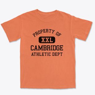 Cambridge Ohio Athletic Dept Premium Heavyweight T-shirt
