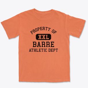 Barre Vermont Athletic Dept Premium Heavyweight T-shirt