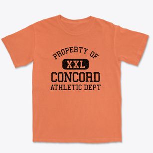 Concord New York Athletic Dept Premium Heavyweight T-shirt