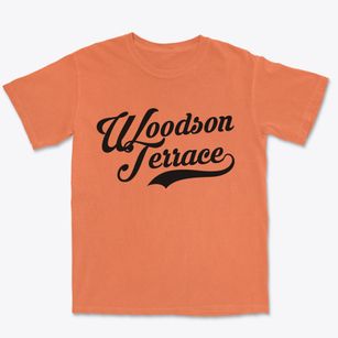 Woodson Terrace Missouri Vintage Team Premium Heavyweight T-shirt