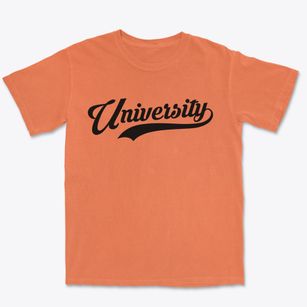 University Florida Vintage Team Premium Heavyweight T-shirt