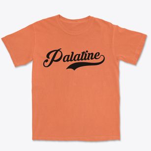 Palatine New York Vintage Team Premium Heavyweight T-shirt
