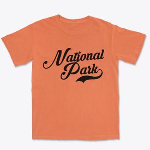 National Park New Jersey Vintage Team Premium Heavyweight T-shirt