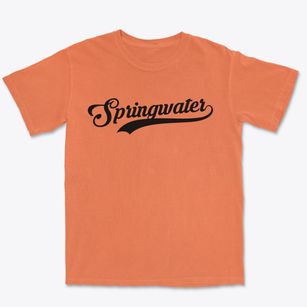 Springwater New York Vintage Team Premium Heavyweight T-shirt