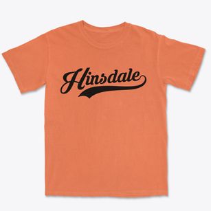 Hinsdale New York Vintage Team Premium Heavyweight T-shirt