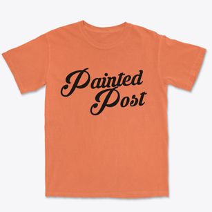 Painted Post New York Vintage Team Premium Heavyweight T-shirt