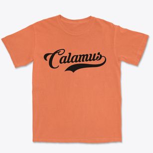 Calamus Wisconsin Vintage Team Premium Heavyweight T-shirt