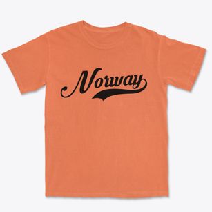 Norway Iowa Vintage Team Premium Heavyweight T-shirt