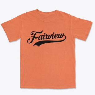 Fairview Missouri Vintage Team Premium Heavyweight T-shirt