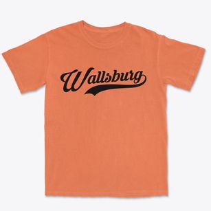 Wallsburg Utah Vintage Team Premium Heavyweight T-shirt
