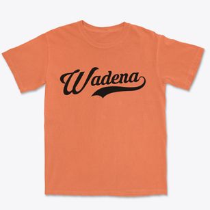 Wadena Iowa Vintage Team Premium Heavyweight T-shirt