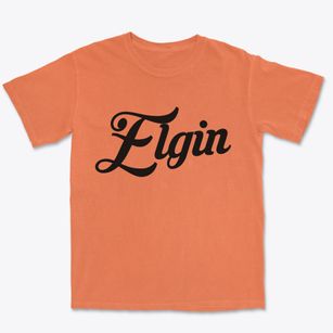 Elgin Pennsylvania Vintage Team Premium Heavyweight T-shirt