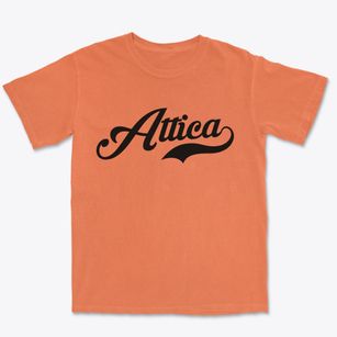 Attica New York Vintage Team Premium Heavyweight T-shirt