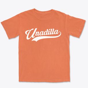 Unadilla New York Vintage Team Premium Heavyweight T-shirt