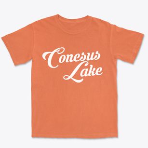 Conesus Lake New York Vintage Team Premium Heavyweight T-shirt