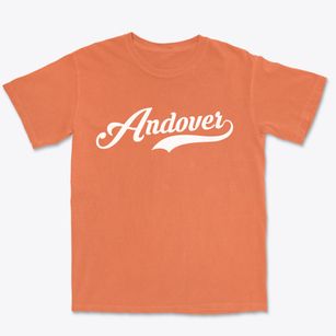 Andover New Hampshire Vintage Team Premium Heavyweight T-shirt