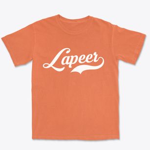Lapeer New York Vintage Team Premium Heavyweight T-shirt
