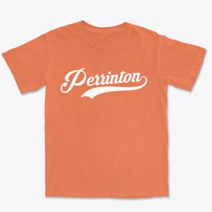 Perrinton Michigan Vintage Team Premium Heavyweight T-shirt