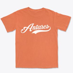 Antares Arizona Vintage Team Premium Heavyweight T-shirt