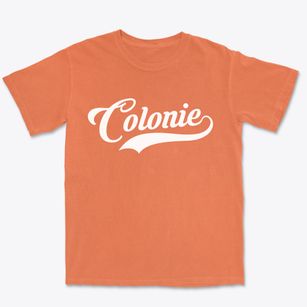 Colonie New York Vintage Team Premium Heavyweight T-shirt