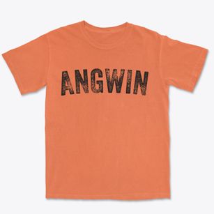 Angwin California Timeless Retro Premium Heavyweight T-shirt