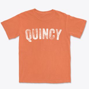Quincy Illinois Timeless Retro Premium Heavyweight T-shirt