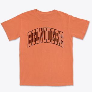 Belvidere Illinois Trendy Block Premium Heavyweight T-shirt