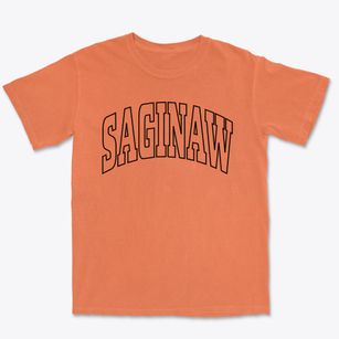 Saginaw Texas Trendy Block Premium Heavyweight T-shirt