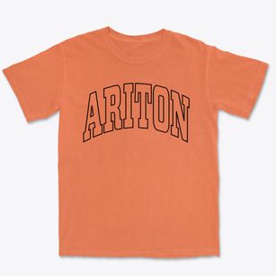 Ariton Alabama Trendy Block Premium Heavyweight T-shirt